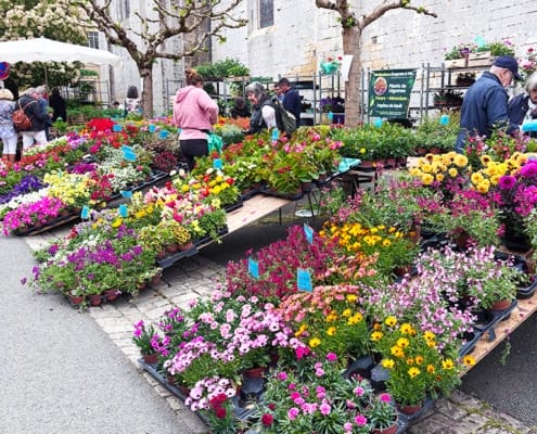 Beautiful flower market stalls in Cadouin, France