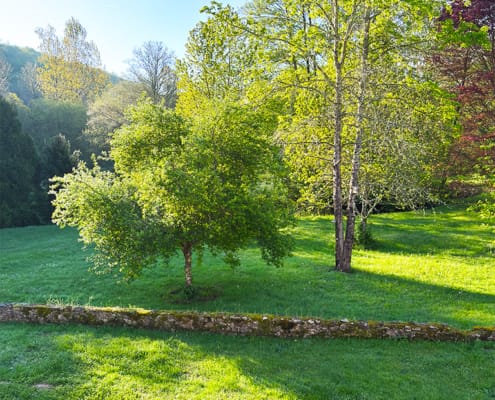 Luxury gite grounds